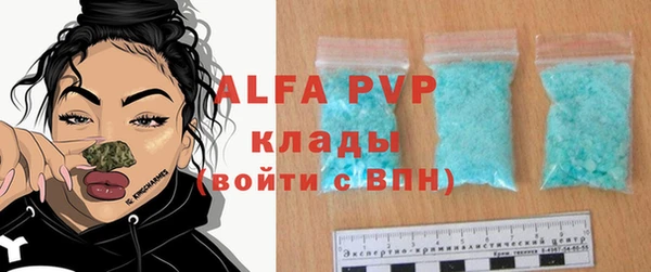 молекула духа Бронницы