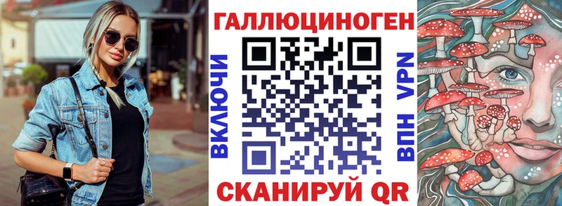 Галлюциногенные грибы Psilocybine cubensis Губаха